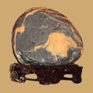 產(chǎn)品展示